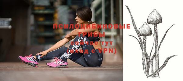 крисы Богданович