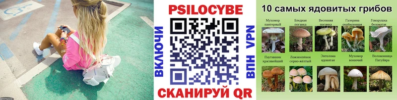 Псилоцибиновые грибы Magic Shrooms  Михайлов 